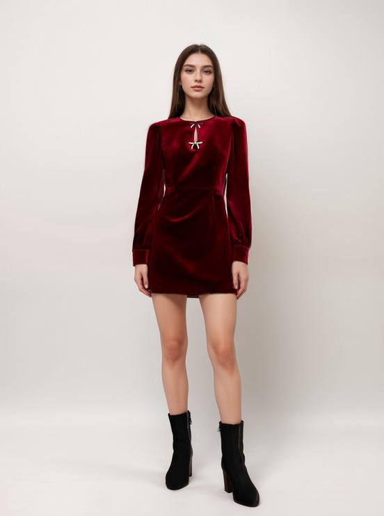 Elegant Velvet Long Sleeve Mini Dress with Bow and Pearl Detail